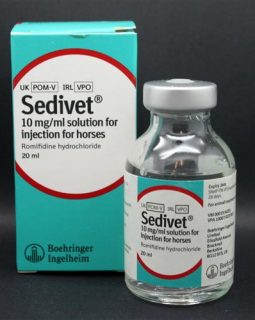 Sedivet