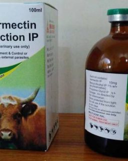 Ivermectin Injection