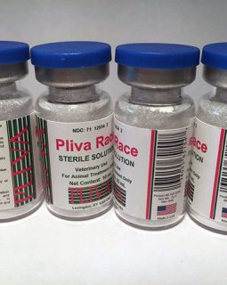 PLIVA RACE – 10ML
