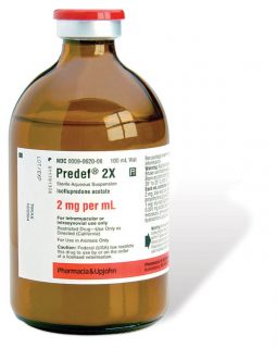 Predef 2X
