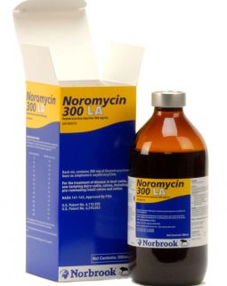 Noromycin 300 LA - 500ml