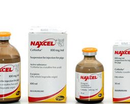 Naxcel 100 mg/ml Suspension for Injection
