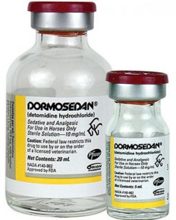 DORMOSEDAN INJECTABLE