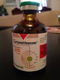 CORTAMETHASONE (VETOQUINOL) – 50ML