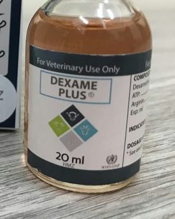 dexame plus
