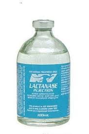 Lactanase 100ml