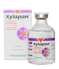 xylapan