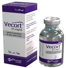 Vecort 20ml
