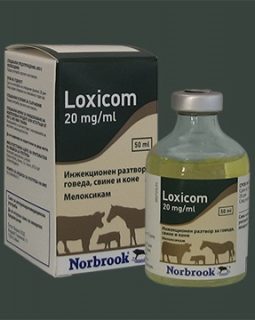 LOXICOM 20MG/ML