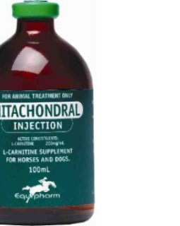 MITACHONDRAL INJECTION 100ML