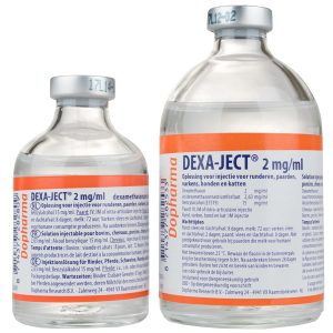 DexaJect DexaJect