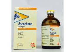 Ascorbate 100 ml
