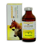 bronquivet