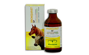 bronquivet bronquivet