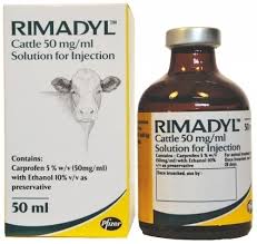 Rimadyl