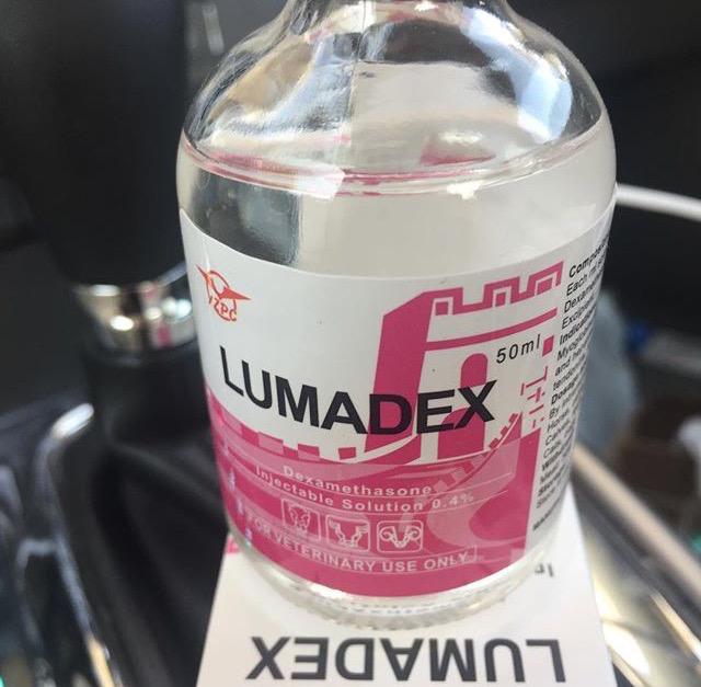 Lumadex (LUMADEX) 50ml Lumadex (LUMADEX) 50ml