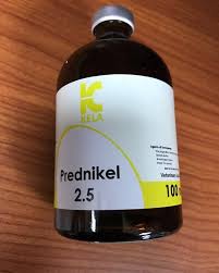 Prednikel