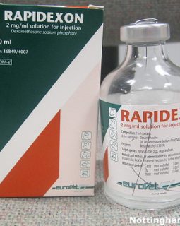 RAPIDEXON – 100ML