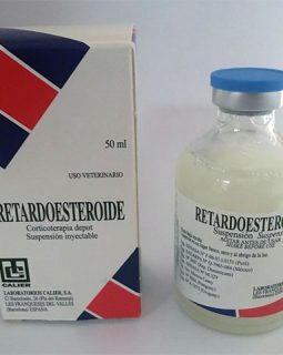RETARDOESTEROIDE