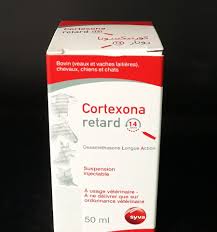 cortexona