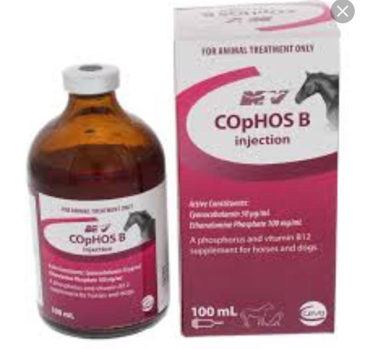 COPHOS B INJECTION COPHOS B INJECTION