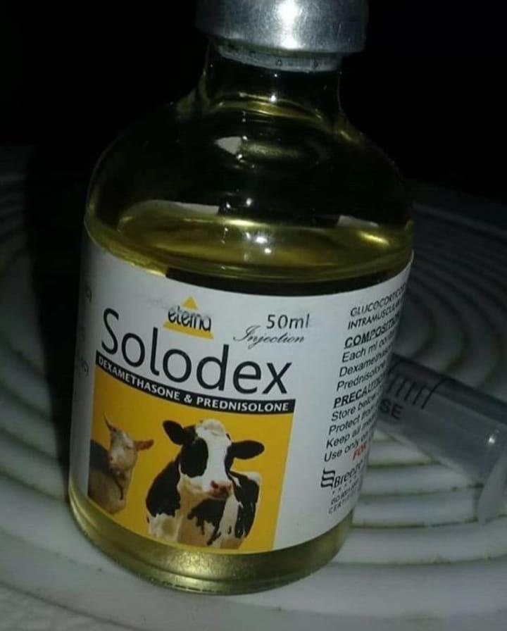 Solodex Solodex