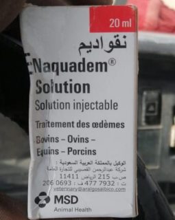Enaquadem Solution