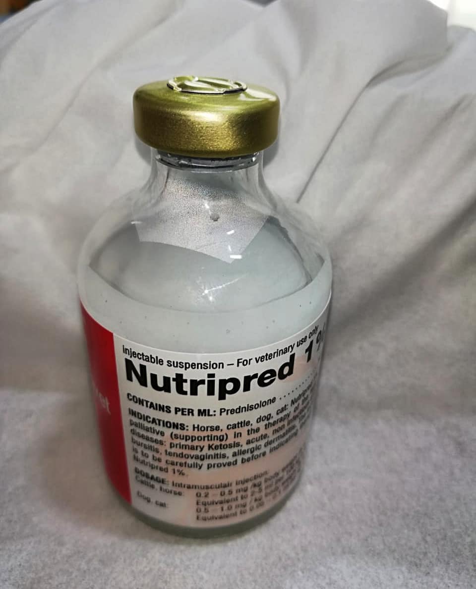 Nutripred Nutripred