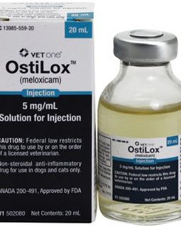 ostilox-meloxicam-injection