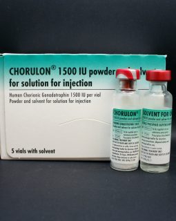 CHORULON 5000IU 5ML