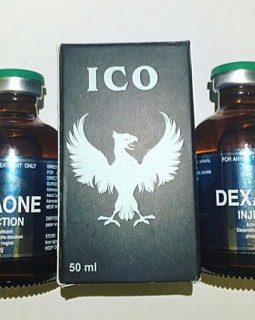 DEXAONE