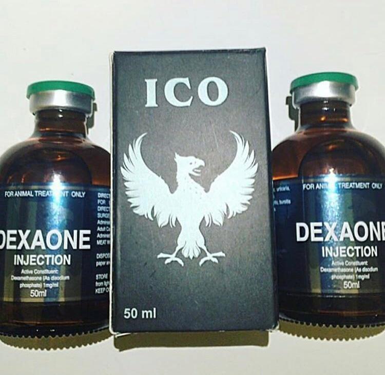 DEXAONE DEXAONE
