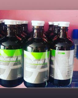 FIBROHEPAT 80