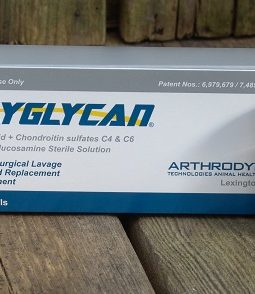 POLYGLYCAN 10ML, BOX OF 6 VIALS