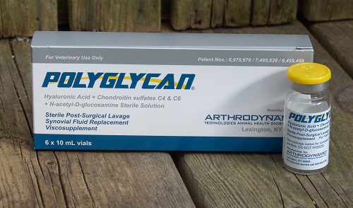 POLYGLYCAN 10ML, BOX OF 6 VIALS POLYGLYCAN 10ML, BOX OF 6 VIALS