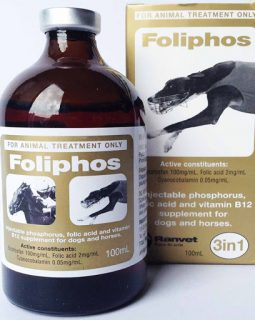 FOLIPHOS INJECTION 100ML