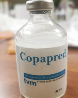 Copapred
