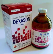 DEXASON Inj