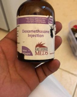 dexamethasone injection