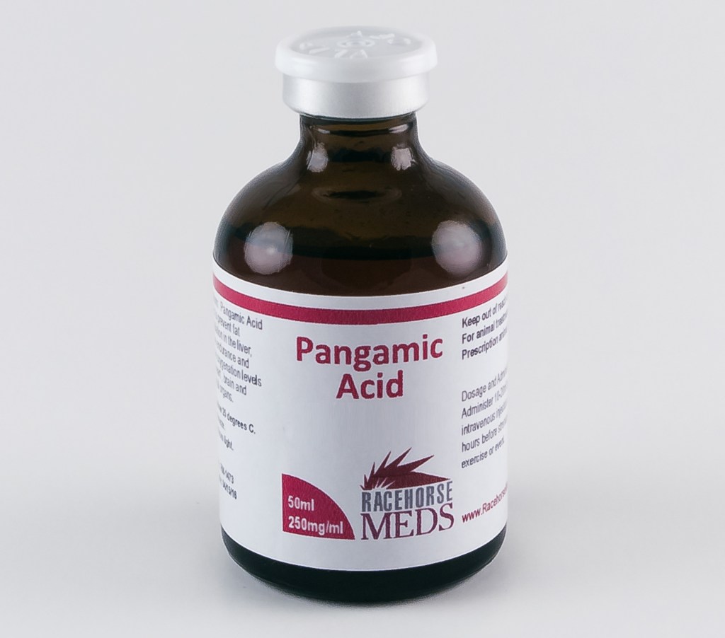 pangamic acid pangamic acid