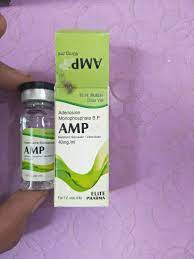 AMP INJECTION B.P. 40mg 10ml