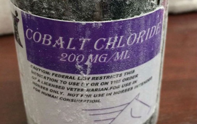 Cobalt Chloride Cobalt Chloride