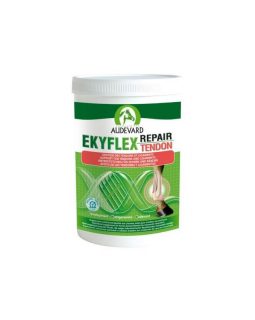 Ekyflex Repair