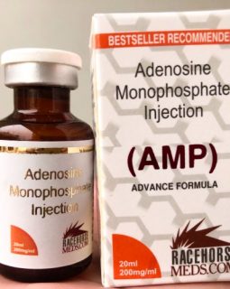 Adenosine Monophosphate injection (AMP)