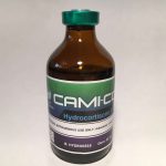cami-cortyl