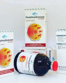 ديكسافينيلبوتازون
