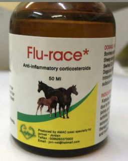 Flu-race