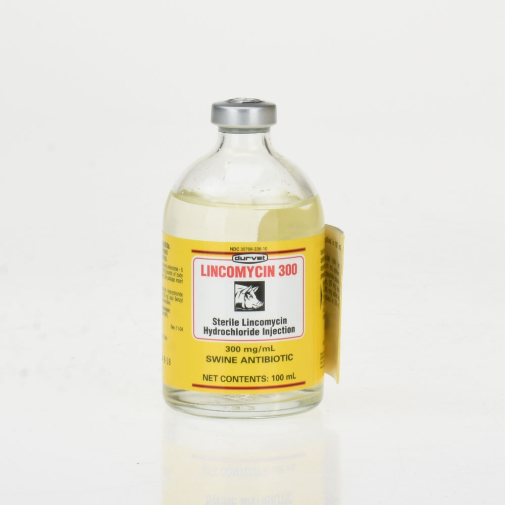 LINCOMIX 300 LINCOMIX 300