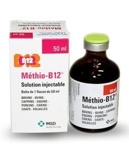 methio-b12