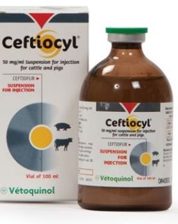 Ceftiocyl